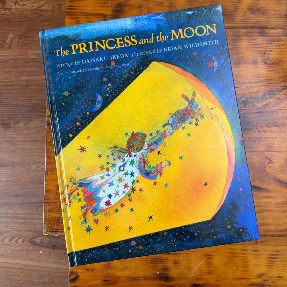 Vintage 1992 The Princess And The Moon Hardcover Book